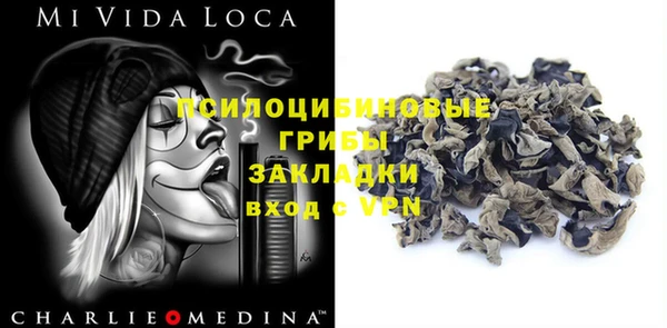 эйфоретик Сосновка
