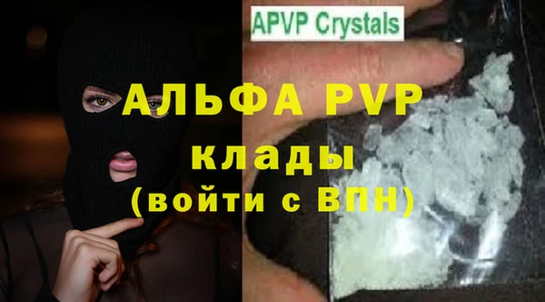 PSILOCYBIN Сосновый Бор