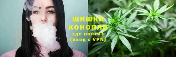 PSILOCYBIN Сосновый Бор