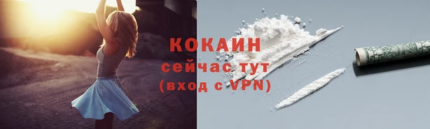 эйфоретик Сосновка