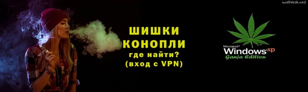 PSILOCYBIN Сосновый Бор