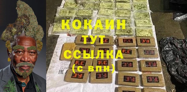 PSILOCYBIN Сосновый Бор