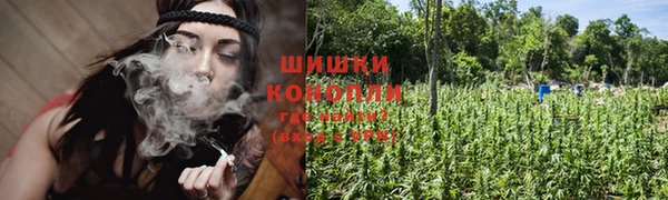 крисы Сосновоборск