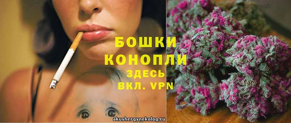 крисы Сосновоборск
