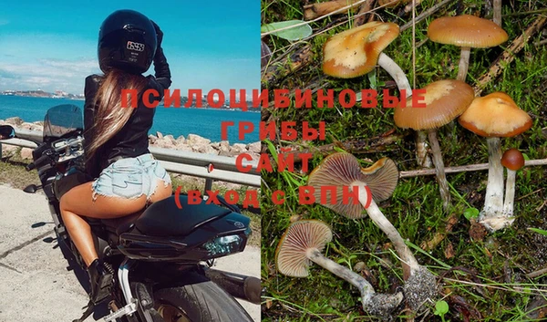 крисы Сосновоборск