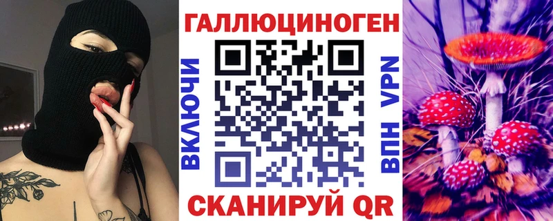 Купить где  Пудож  Галлюциногенные грибы Psilocybine cubensis 